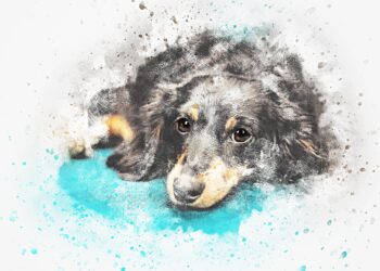 Picchiare un cane o abbandonarlo: cosa si rischia?