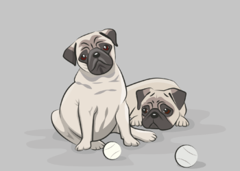 Cani aggressivi: tutto quello che devi sapere